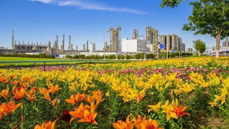 工业废塑料回收再生，如何打造定制化解决方案？**