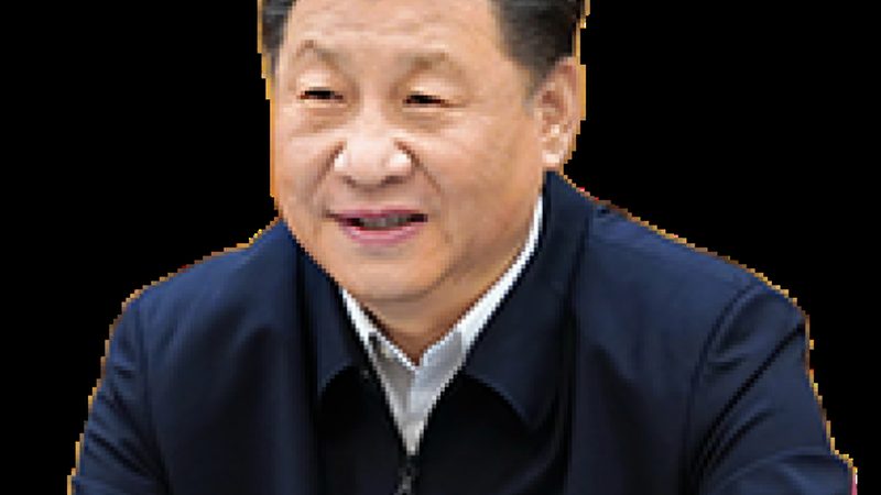 工业添加剂选型：如何避免陷入价格陷阱？**